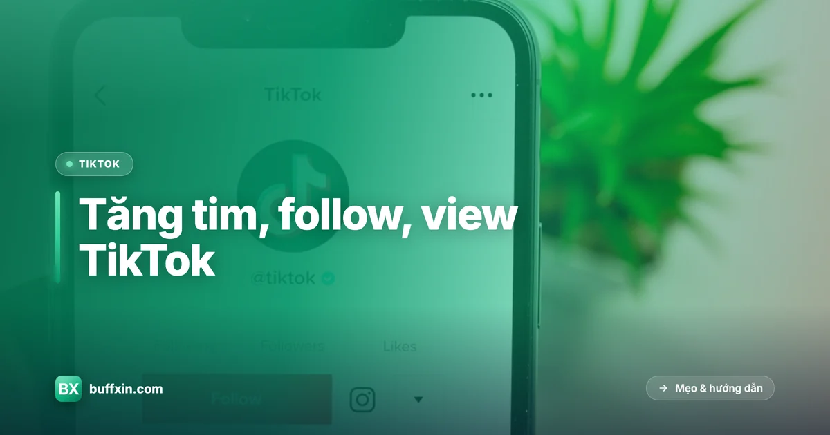 Tăng tim, follow, view TikTok để lên xu hướng